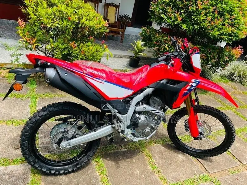 Honda CRF 2025