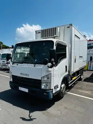 Isuzu Elf Full Body Freezer 2017