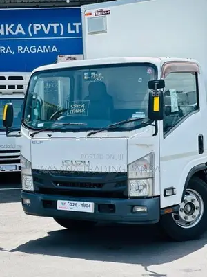 Isuzu Elf Full body freezer 2017