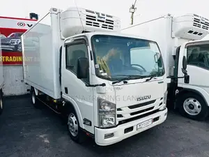 Isuzu Elf Full Body Freezer 2019