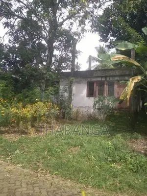House for Sale - නිවසක් සමග ඉඩම විකිනීමට Kaleliya