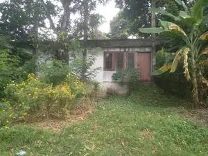 House for Sale - නිවසක් සමග ඉඩම විකිනීමට Kaleliya