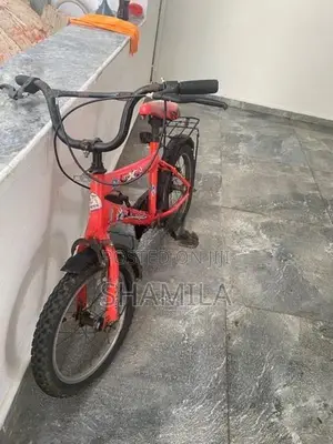 DSI Bicycle