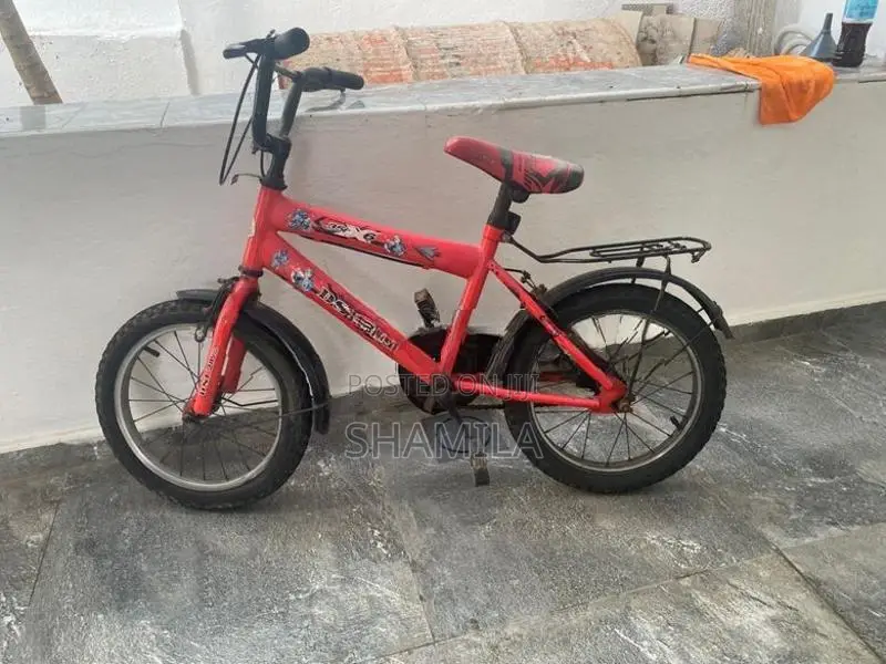 DSI Bicycle