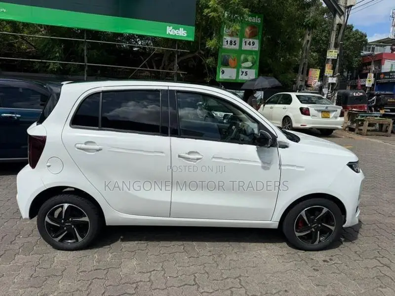 BAW E7 FAST CHARGE E 7PRO 2021