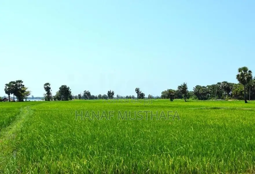 வயல் காணி படுவாங்கரை