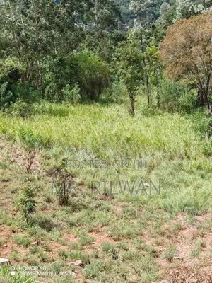Land for Sale Kandy
