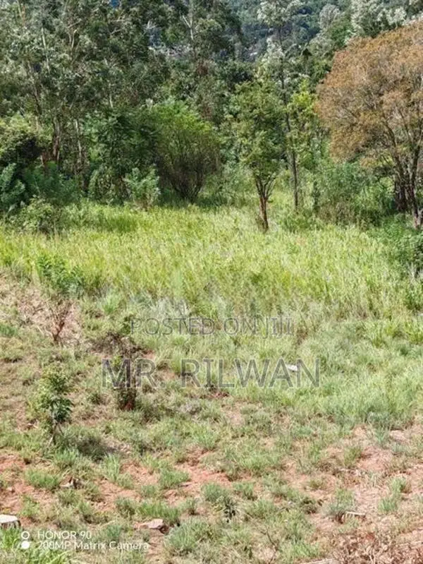 Land for Sale Kandy