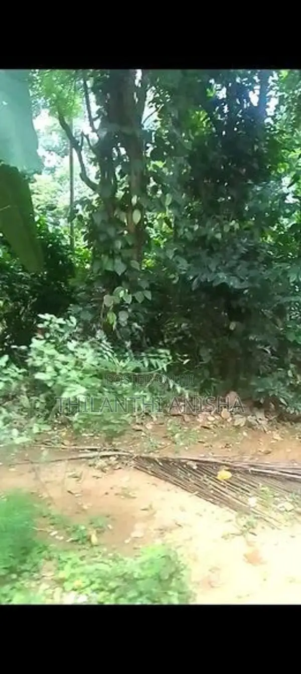 පර්චස් 84.5ක වටිනා ඉඩමක් සමඟ නිවස විකිණීමට දේවාලේගම