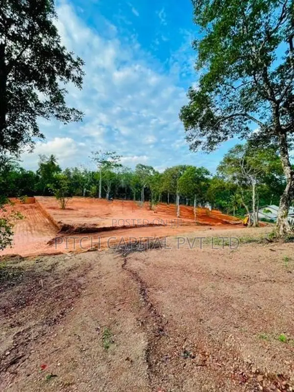 Dikwella Superb Tourism Land Plots Sale