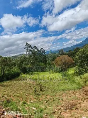 Land for Sale Kandy