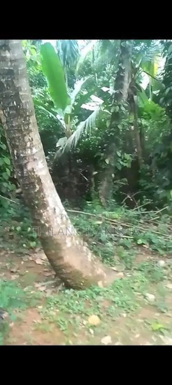 පර්චස් 84.5ක වටිනා ඉඩමක් සමඟ නිවස විකිණීමට දේවාලේගම