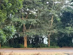 Land Ethul Kotte