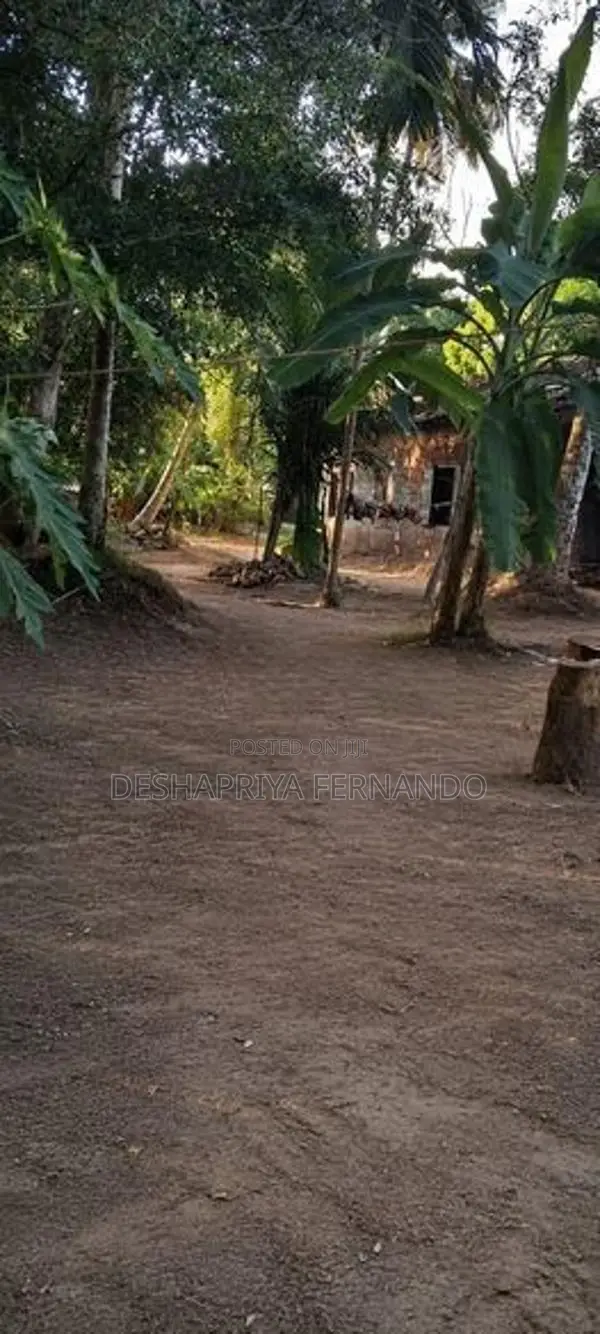 ව්‍යාපාරික ස්ථානයක් සදහා ඉඩමක් බදු දීමට මිනුවන්ගොඩ