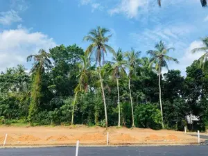 Land for Sale Kandana