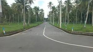 ගමිපහ කිරිදිවැල පාරට මුහුණලා යක්කල බිම් කොටස්