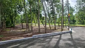 දිවුලපිටිය බිම්කොටස්