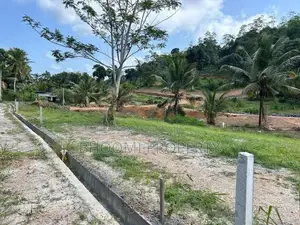 පින්නදූව අදිවේගී පිවිසුමට ලගින්ම බිම් කොටස්