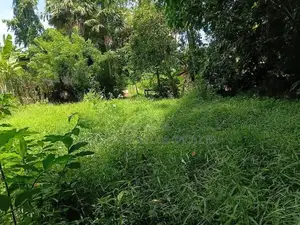 Prime Residential Bare Land for Sale in Ragama