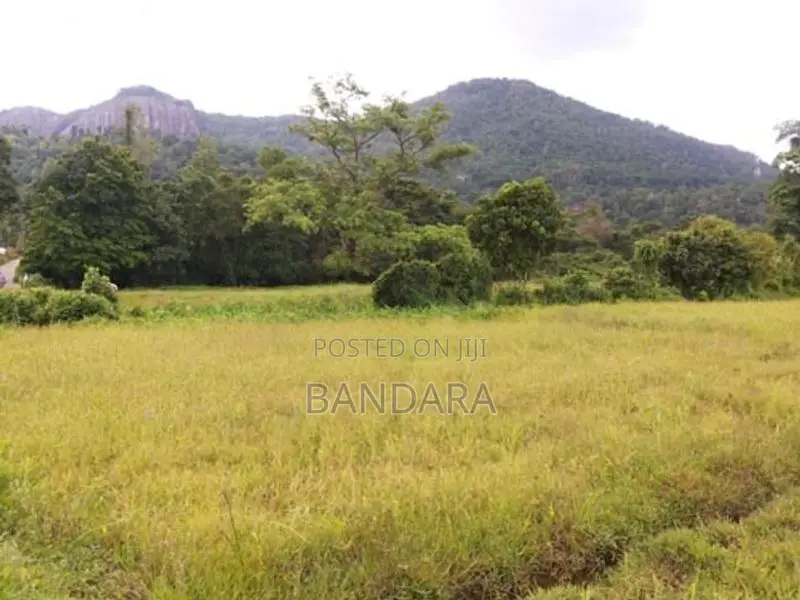 Land for Sale - Avissawella