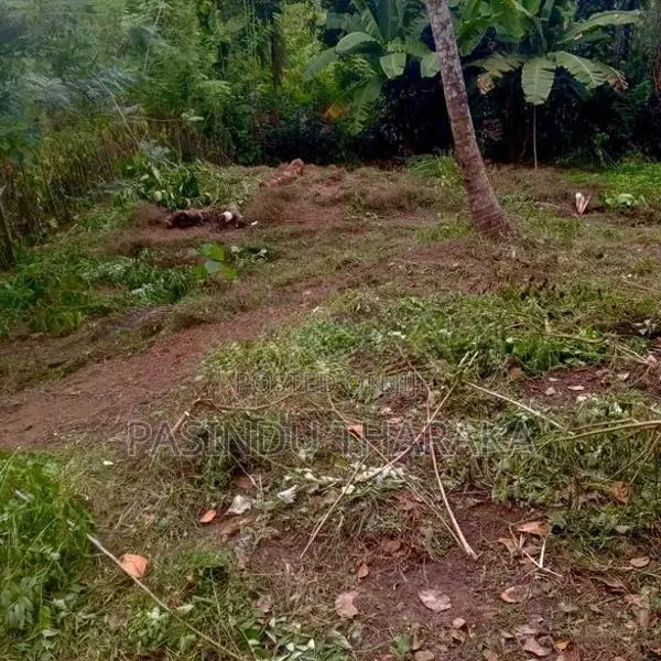 Land for Sale Matara