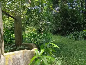 Prime Residential Bare Land for Sale in Ragama