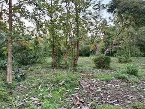 Katumuluwa, Kanaththewewa 86 Perches Land for Sale (SSPL-486)
