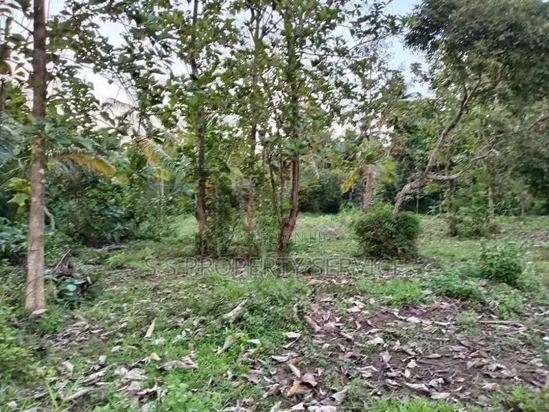 Katumuluwa, Kanaththewewa 86 Perches Land for Sale (SSPL-486)