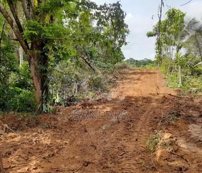 Land for Sale - Avissawella