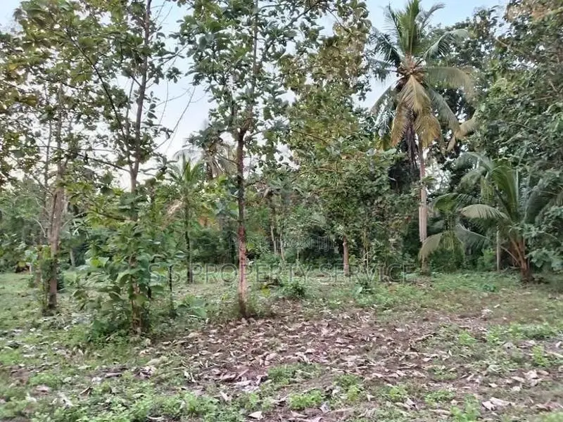 Katumuluwa, Kanaththewewa 86 Perches Land for Sale (SSPL-486)