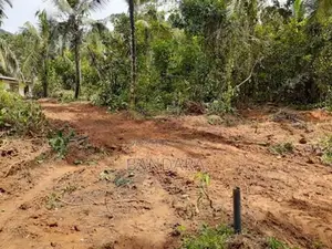 Land for Sale - Avissawella