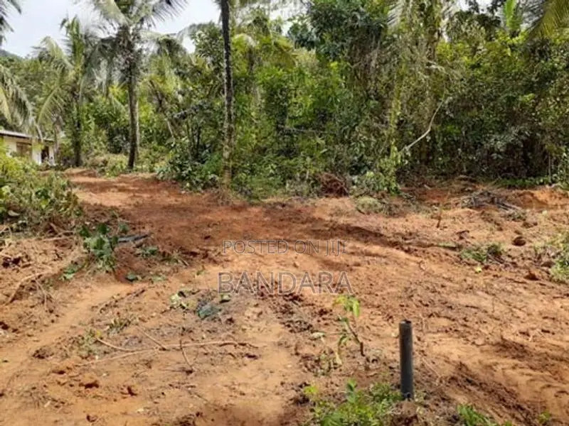 Land for Sale - Avissawella