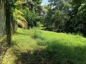Prime Residential Bare Land for Sale in Ragama