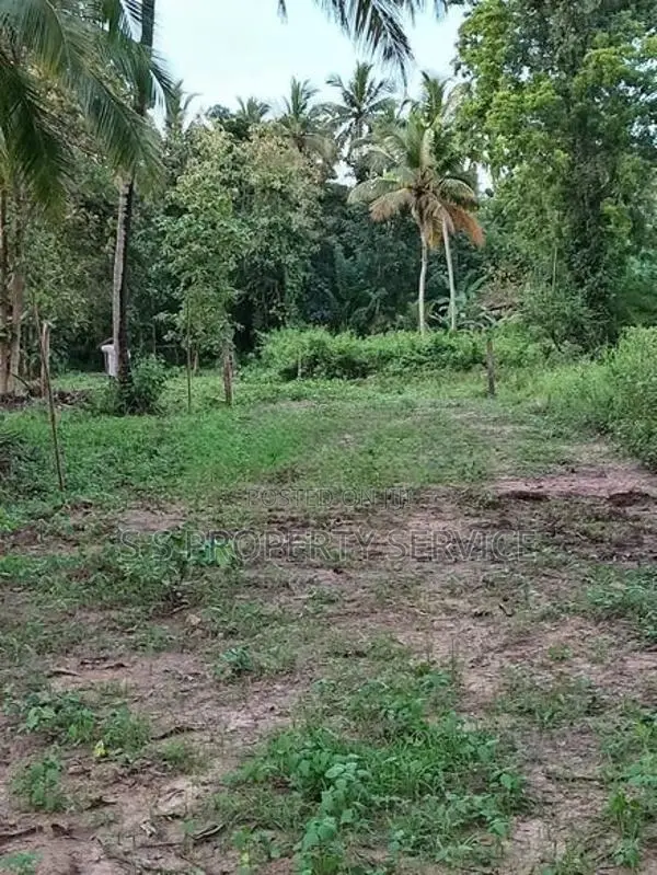 Katumuluwa, Kanaththewewa 86 Perches Land for Sale (SSPL-486)