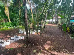 18 Perch Land for Sale in Mulleriyawa