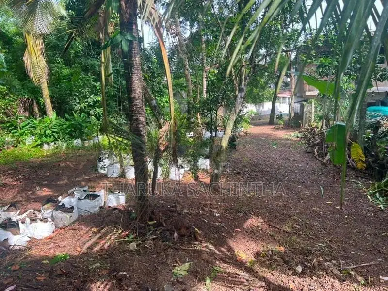 18 Perch Land for Sale in Mulleriyawa
