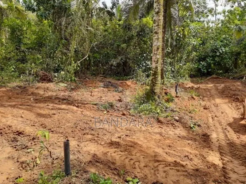 Land for Sale - Avissawella