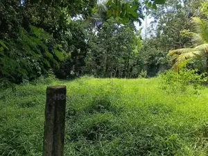 Prime Residential Bare Land for Sale in Ragama