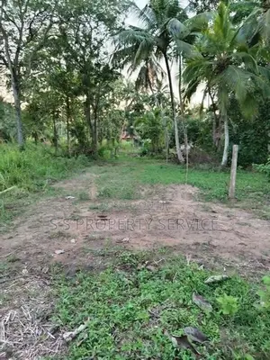 Katumuluwa, Kanaththewewa 86 Perches Land for Sale (SSPL-486)