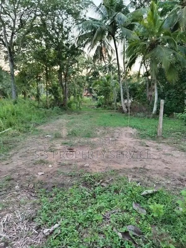 Katumuluwa, Kanaththewewa 86 Perches Land for Sale (SSPL-486)