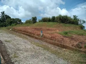 මීගොඩ ආටිගල පාරෙන් බිම් කොටස් විකිණීමට