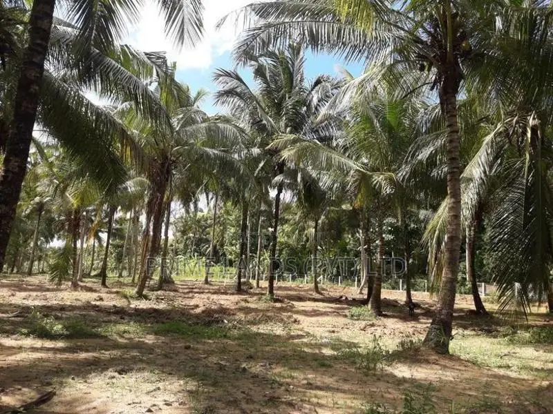 පදිංචියට අගනා ඉඩමක් අඹගස්වැව