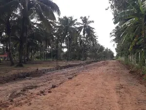 පදිංචියට අගනා ඉඩමක් අඹගස්වැව