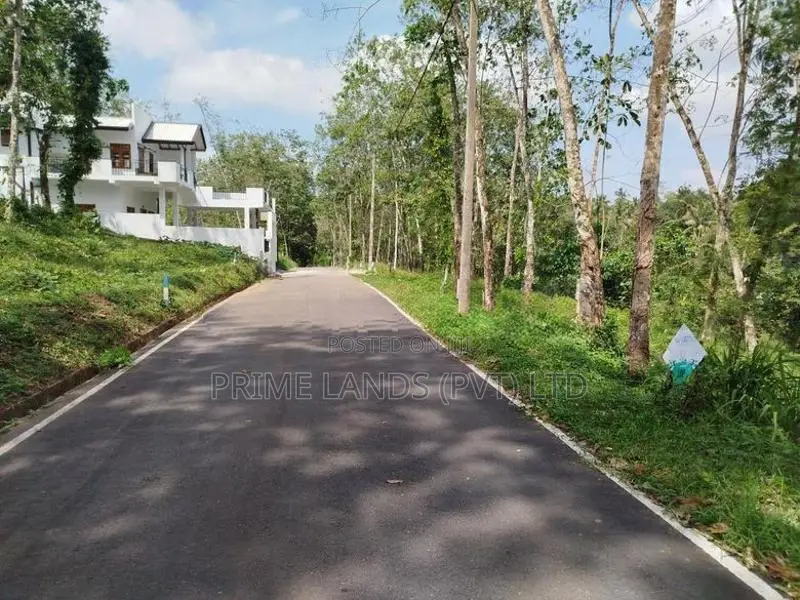 හෝමාගම හොරගල බස් පාරට මුහුනලා බිම් කොටස් විකිණීමට