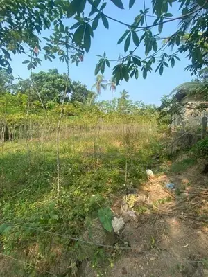 Prime Residential Land for Sale in Radawana, Kirindiwela