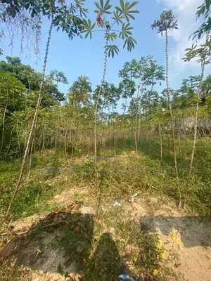 Prime Residential Land for Sale in Radawana, Kirindiwela