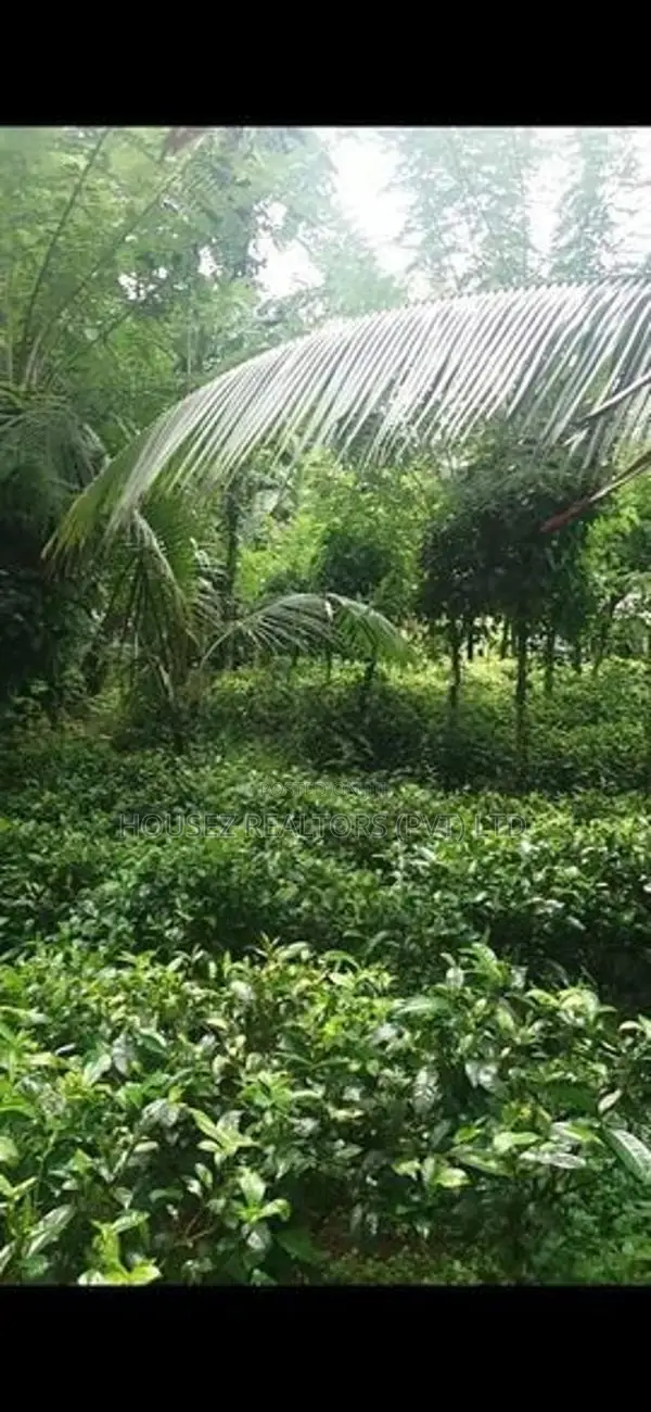 Residential Land for Sale in Pindeniya,