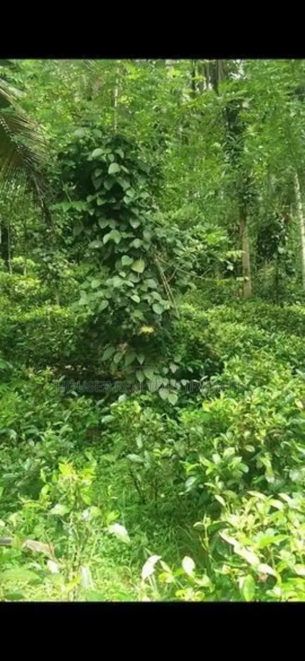 Residential Land for Sale in Pindeniya,