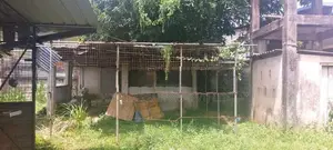 Commercial Warehouse Property for Rent Near Galle Road - Rathmalana