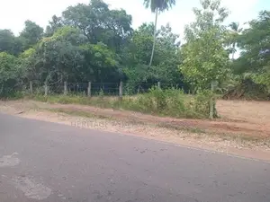 Land for Sale Anuradhapura